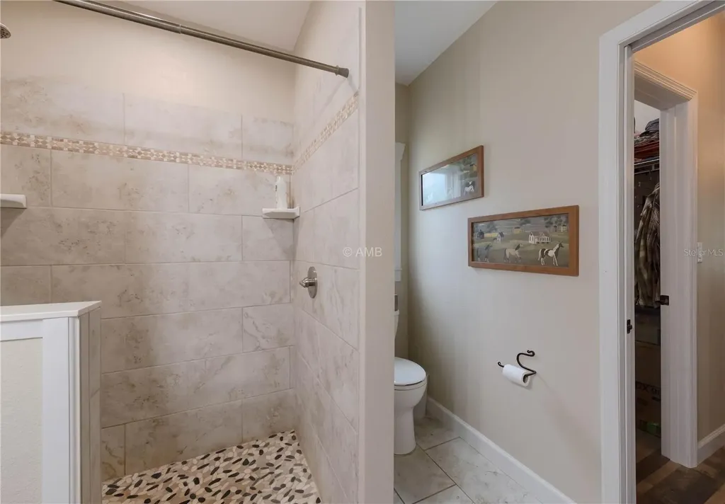 13850 SE 73rd Lane Morriston FL 32668