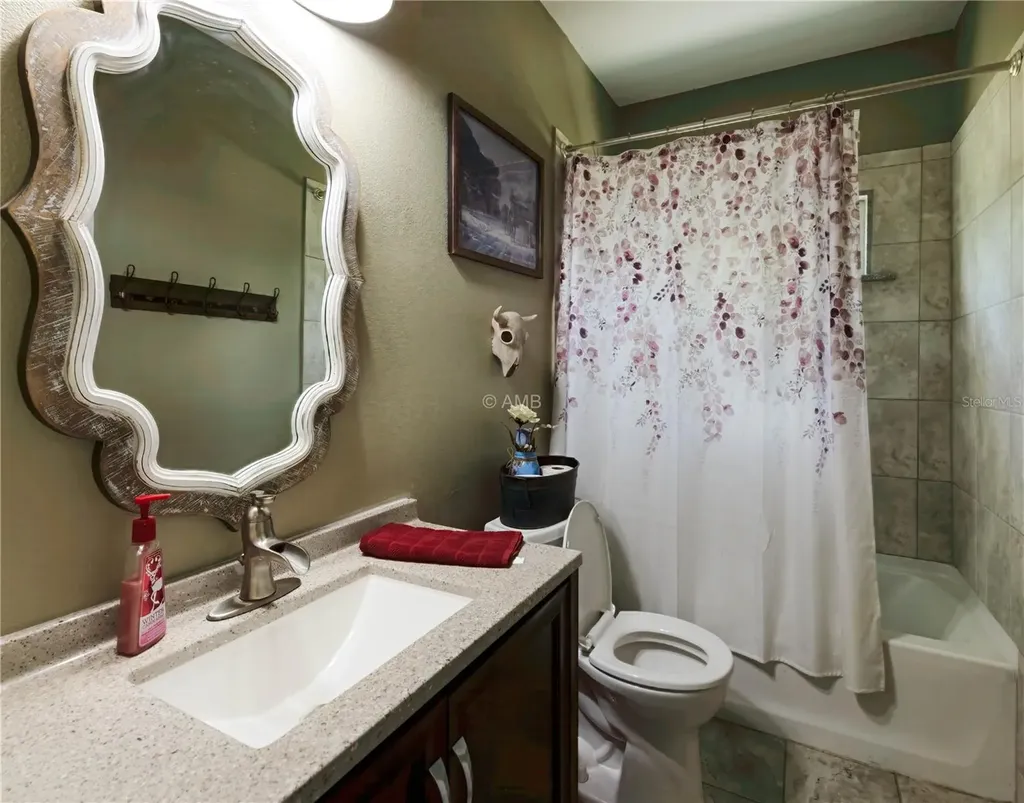 13850 SE 73rd Lane Morriston FL 32668
