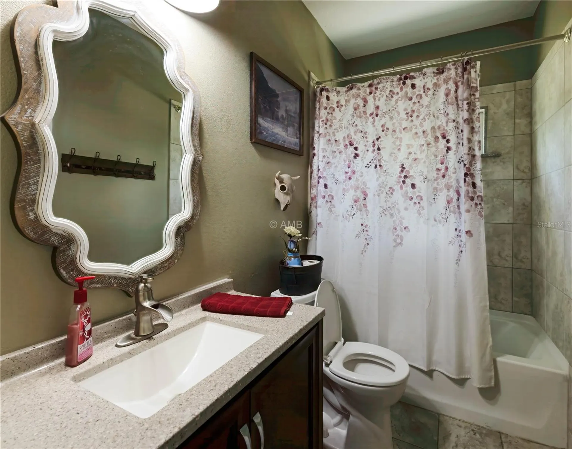 13850 SE 73rd Lane Morriston FL 32668
