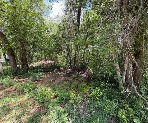 2301 E Graves Avenue Orange City FL 32763