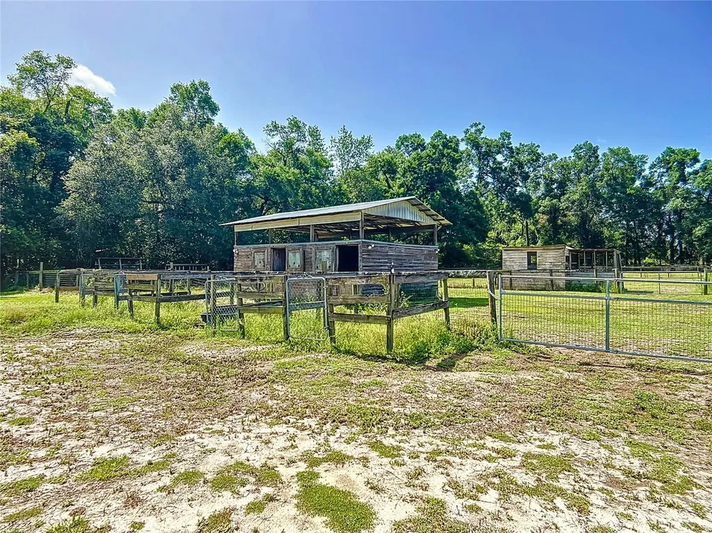 3040 NE 97th Street Road Anthony FL 32617