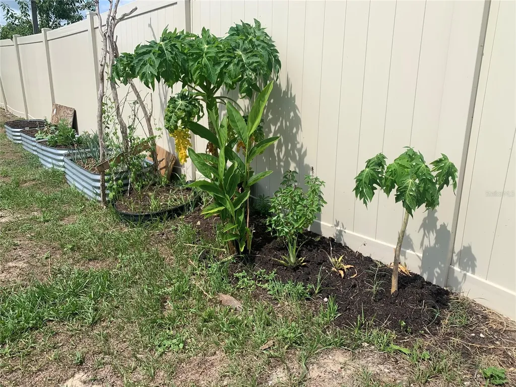 11513 Andy Drive Riverview FL 33569