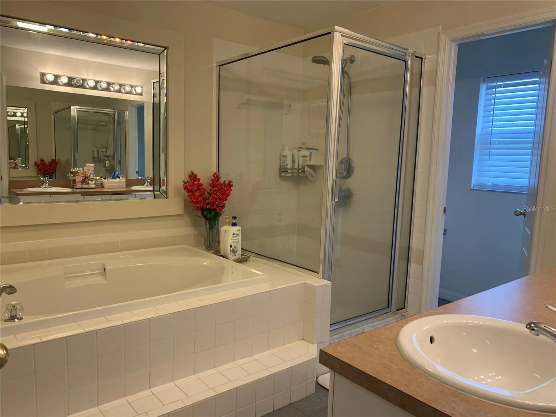 11513 Andy Drive Riverview FL 33569
