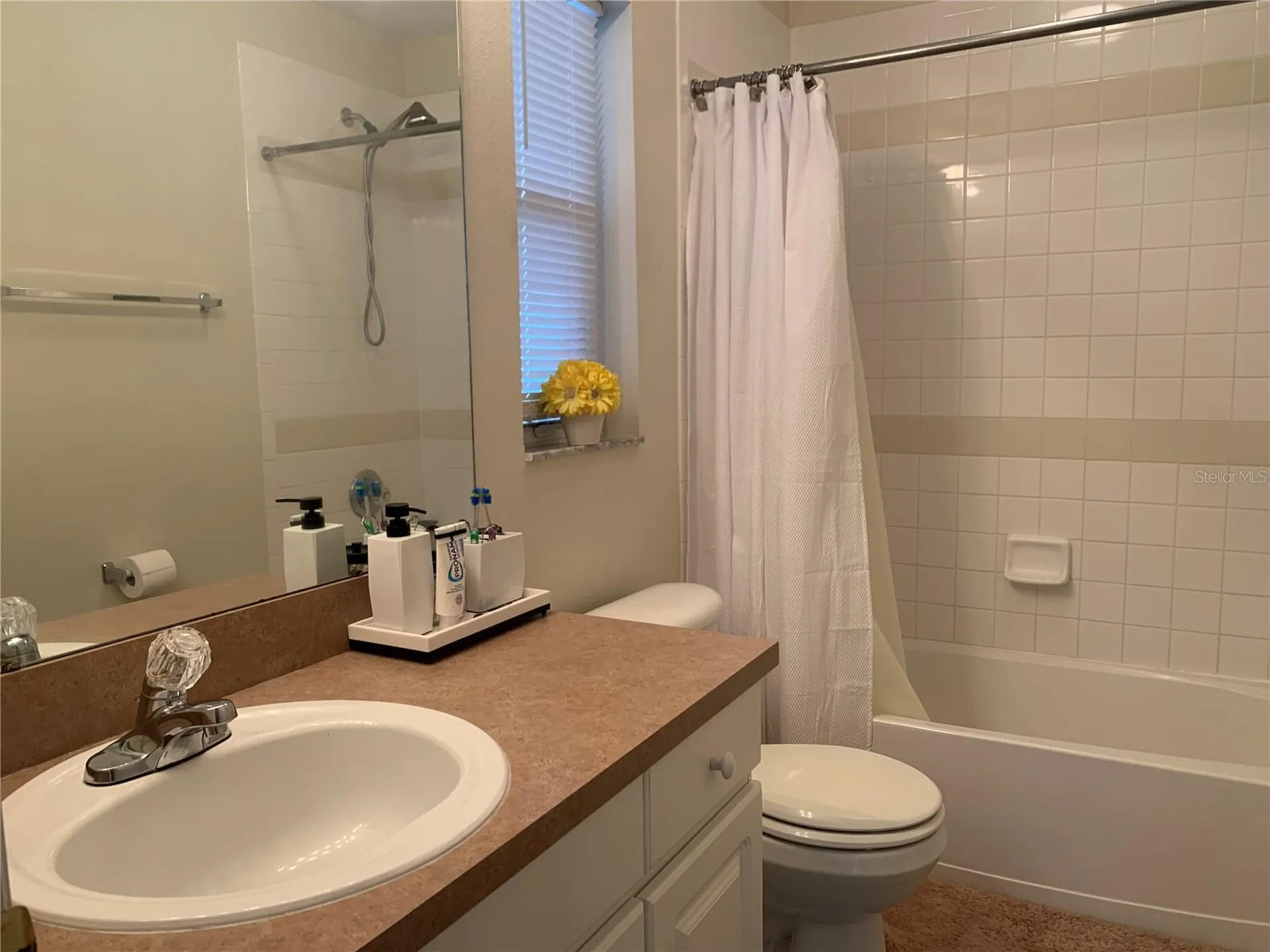 11513 Andy Drive Riverview FL 33569