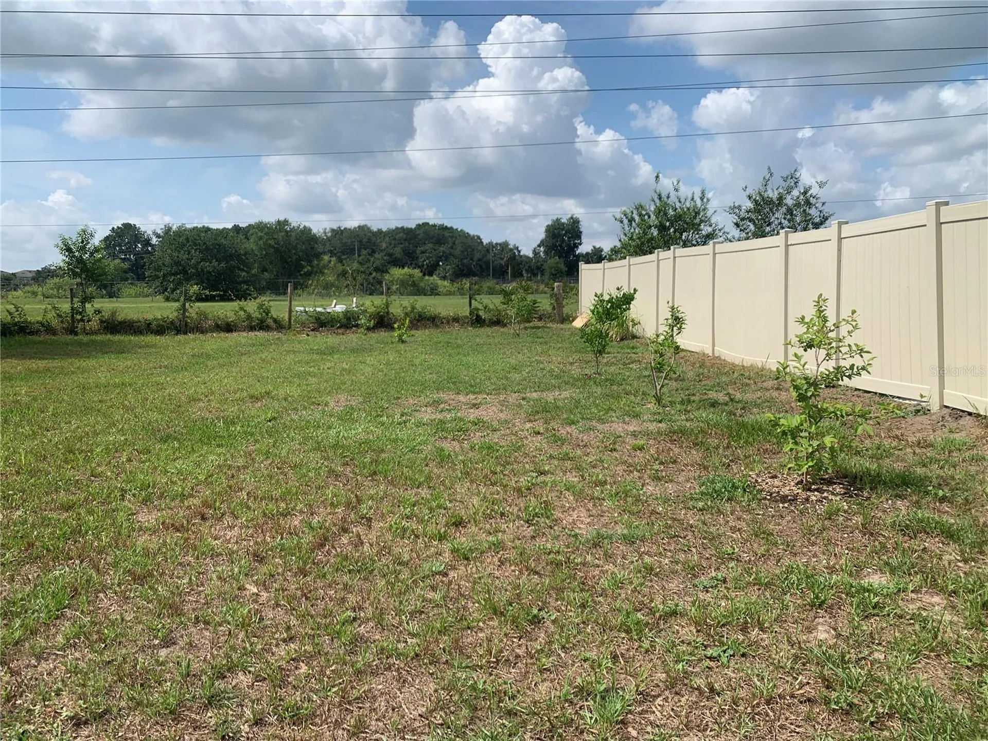 11513 Andy Drive Riverview FL 33569