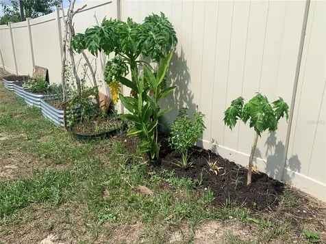 11513 Andy Drive Riverview FL 33569