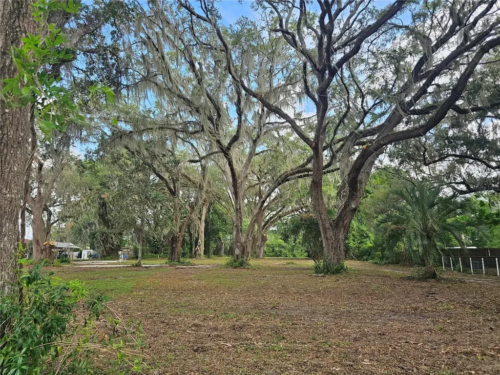 7059 SE County Highway 25a Belleview FL 34420