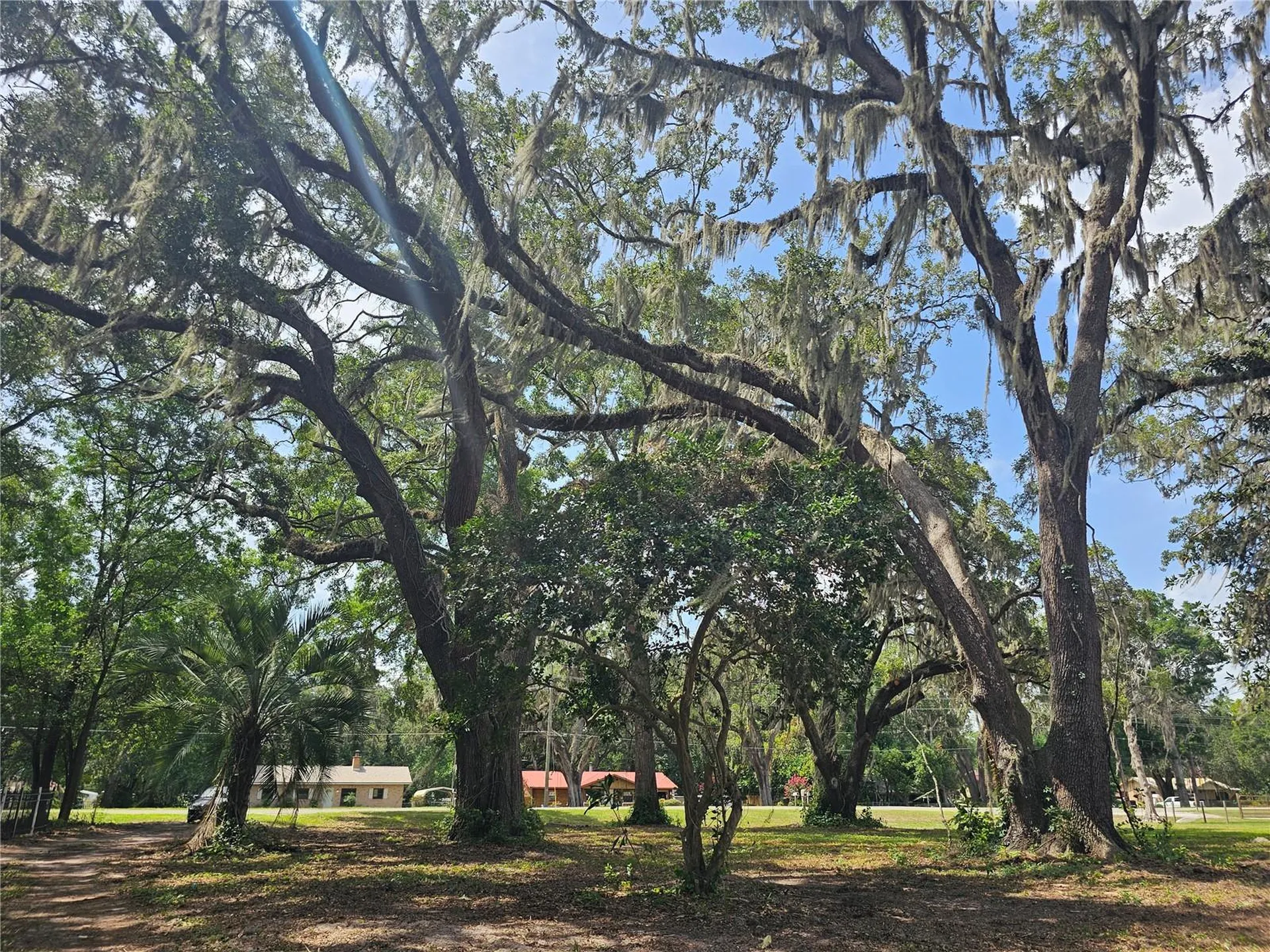 7059 SE County Highway 25a Belleview FL 34420