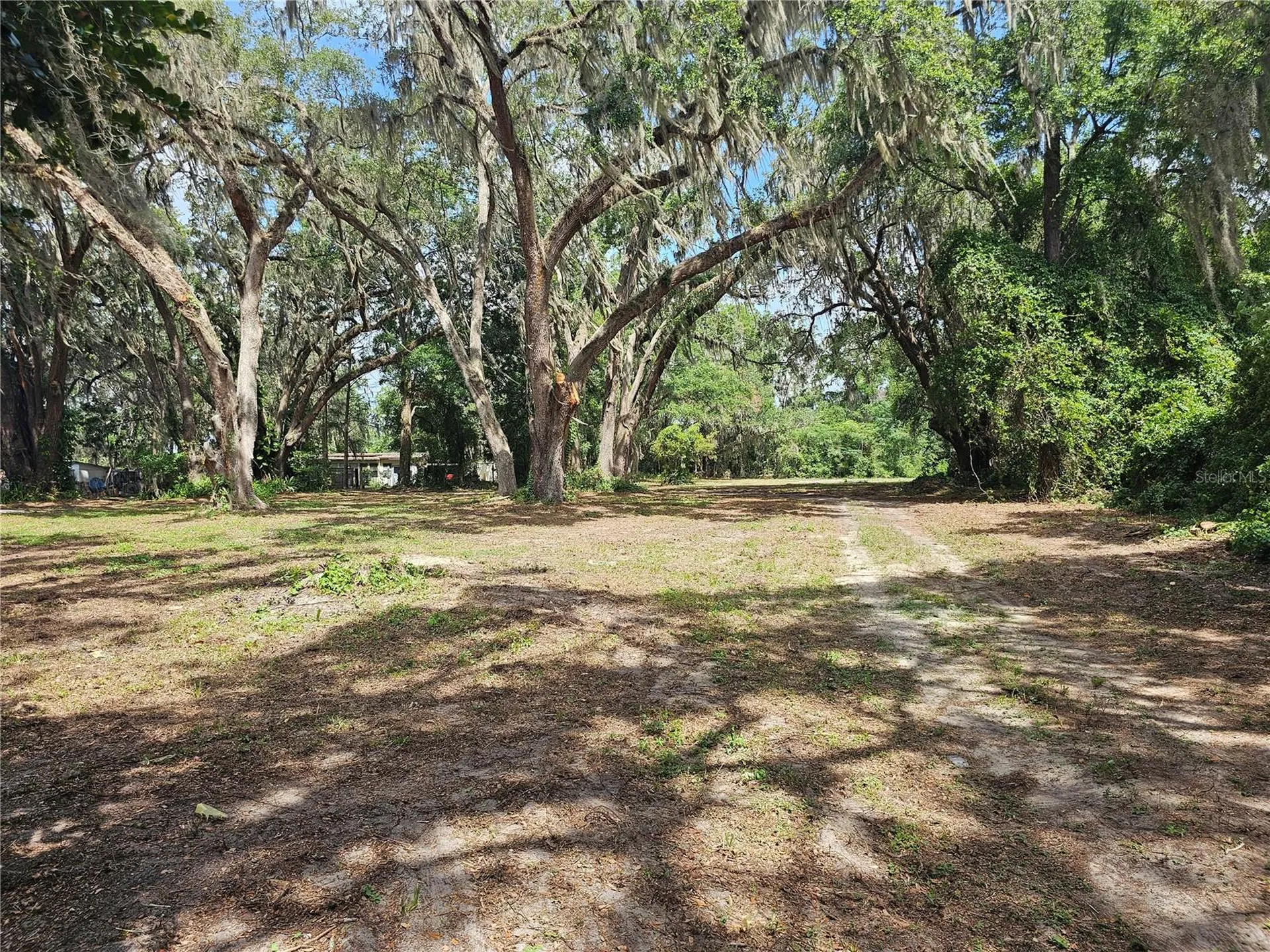 7059 SE County Highway 25a Belleview FL 34420