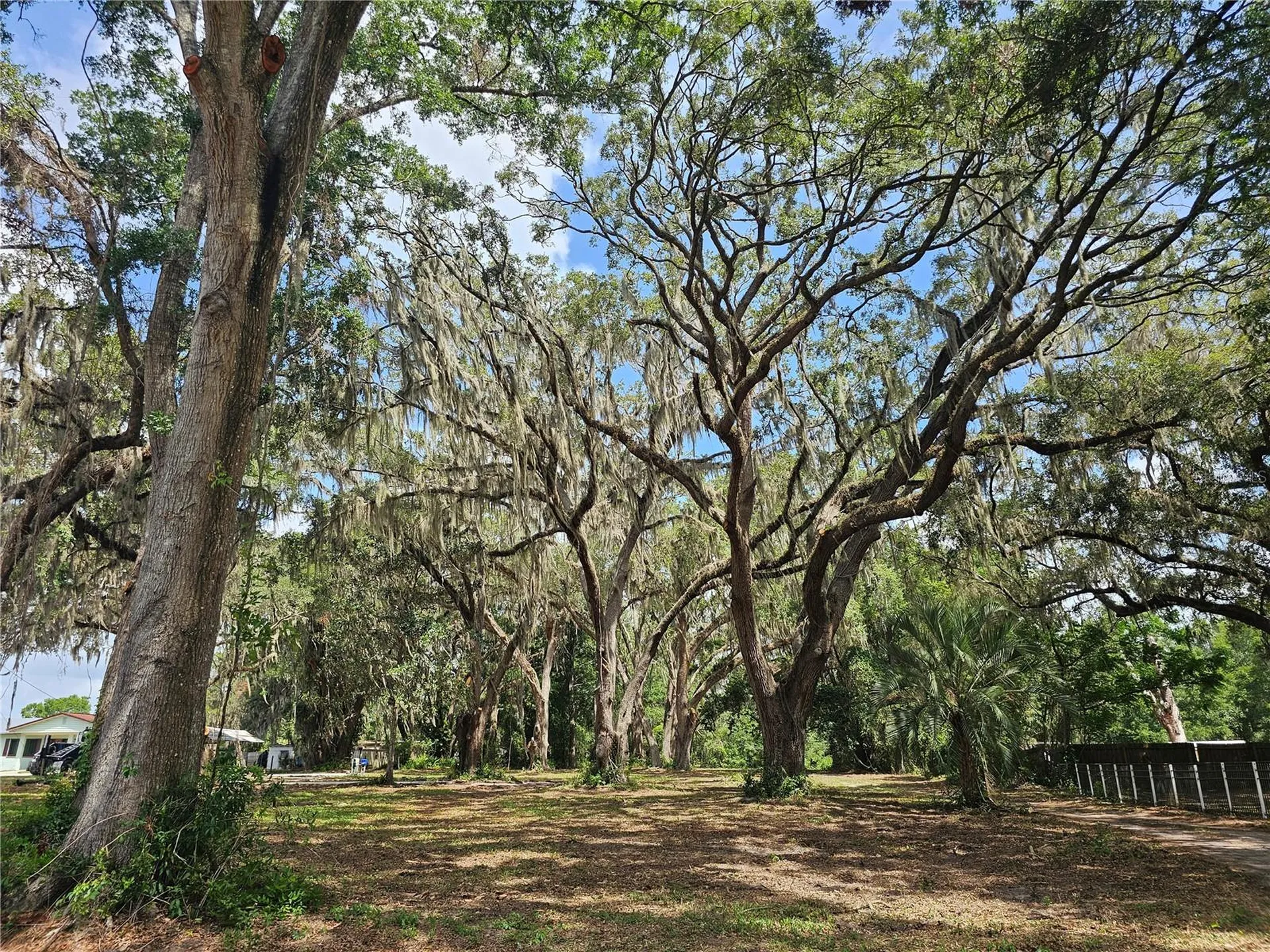 7059 SE County Highway 25a Belleview FL 34420