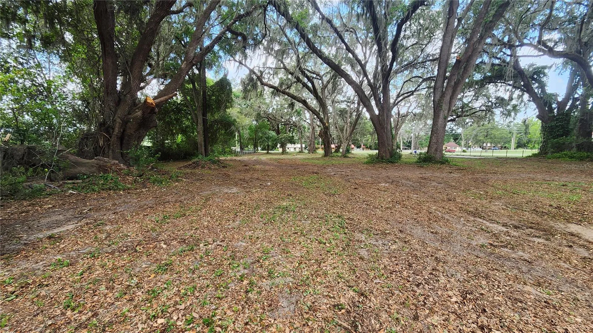 7059 SE County Highway 25a Belleview FL 34420