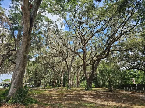7059 SE County Highway 25a Belleview FL 34420