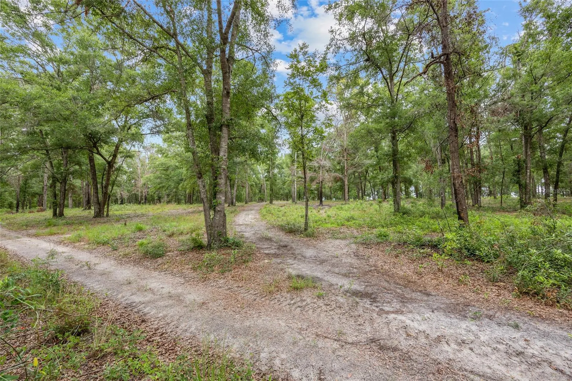 1827 SW Shiloh Street Fort White FL 32038