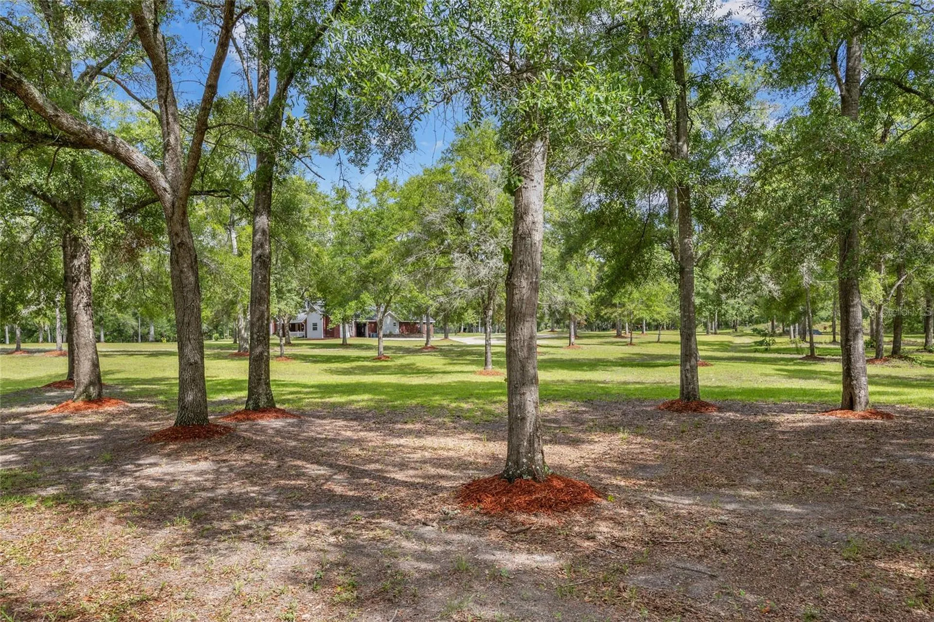 1827 SW Shiloh Street Fort White FL 32038
