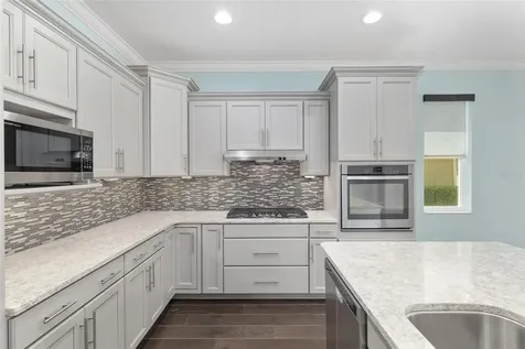 9805 SW 95th Loop Ocala FL 34481