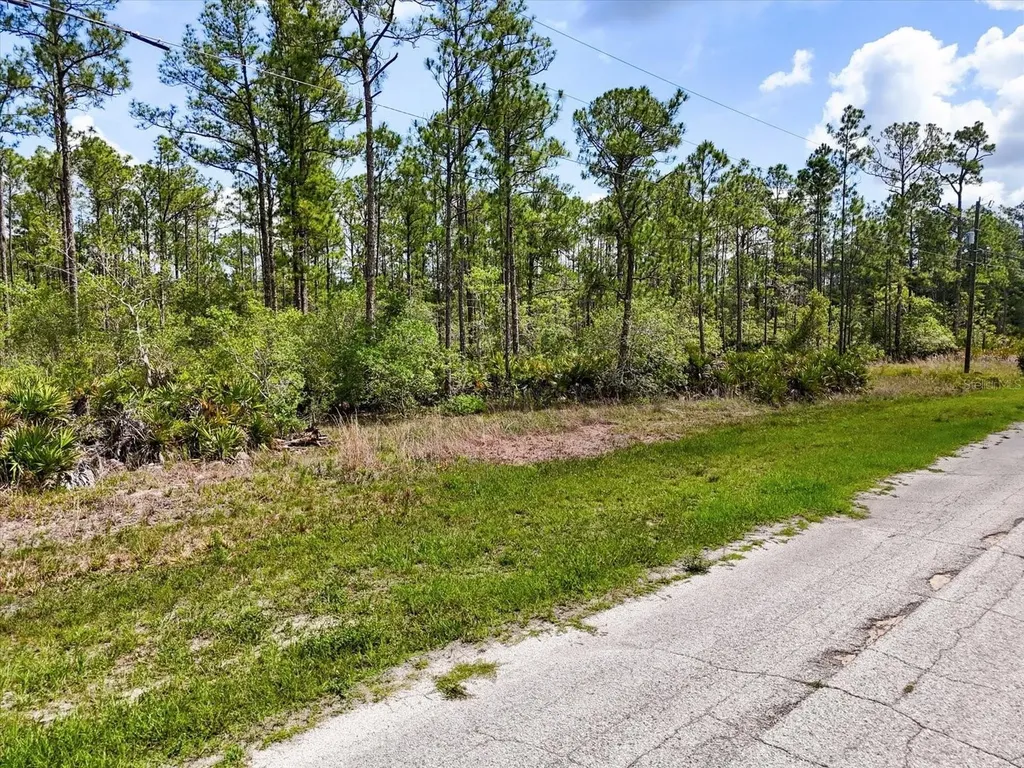Lot 61 Meadow Lark Boulevard Lake Wales FL 33898