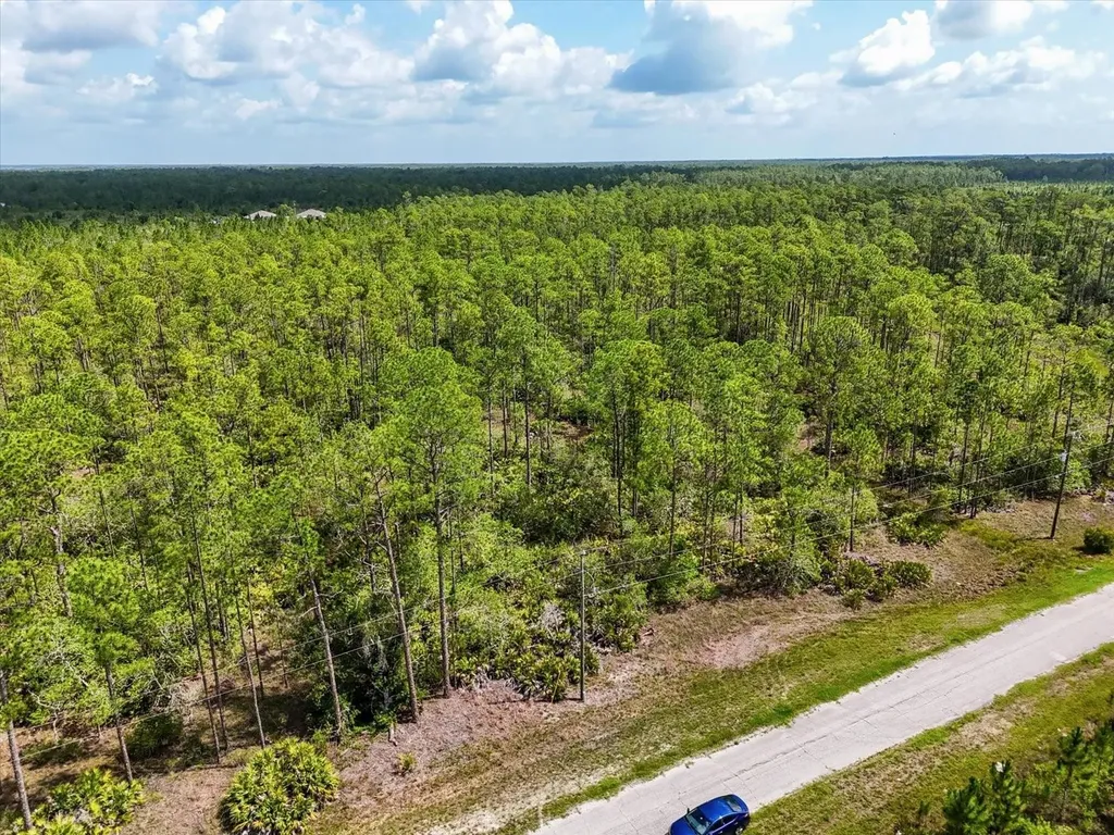 Lot 61 Meadow Lark Boulevard Lake Wales FL 33898