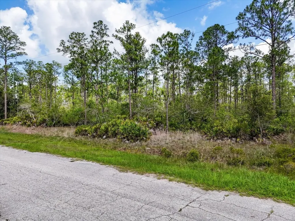 Lot 61 Meadow Lark Boulevard Lake Wales FL 33898