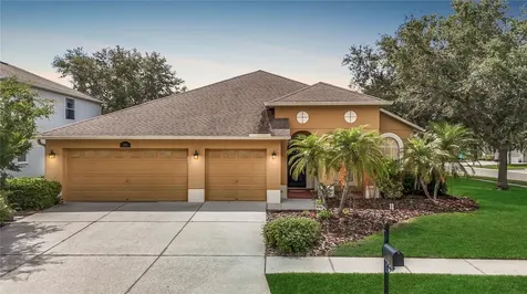 3824 Duke Firth Street Land O Lakes FL 34638