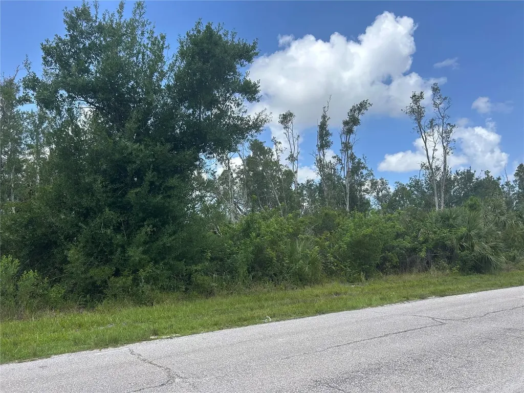 14309 Sanilac Avenue Port Charlotte FL 33981