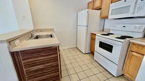 2219 San Vittorino Circle Kissimmee FL 34741