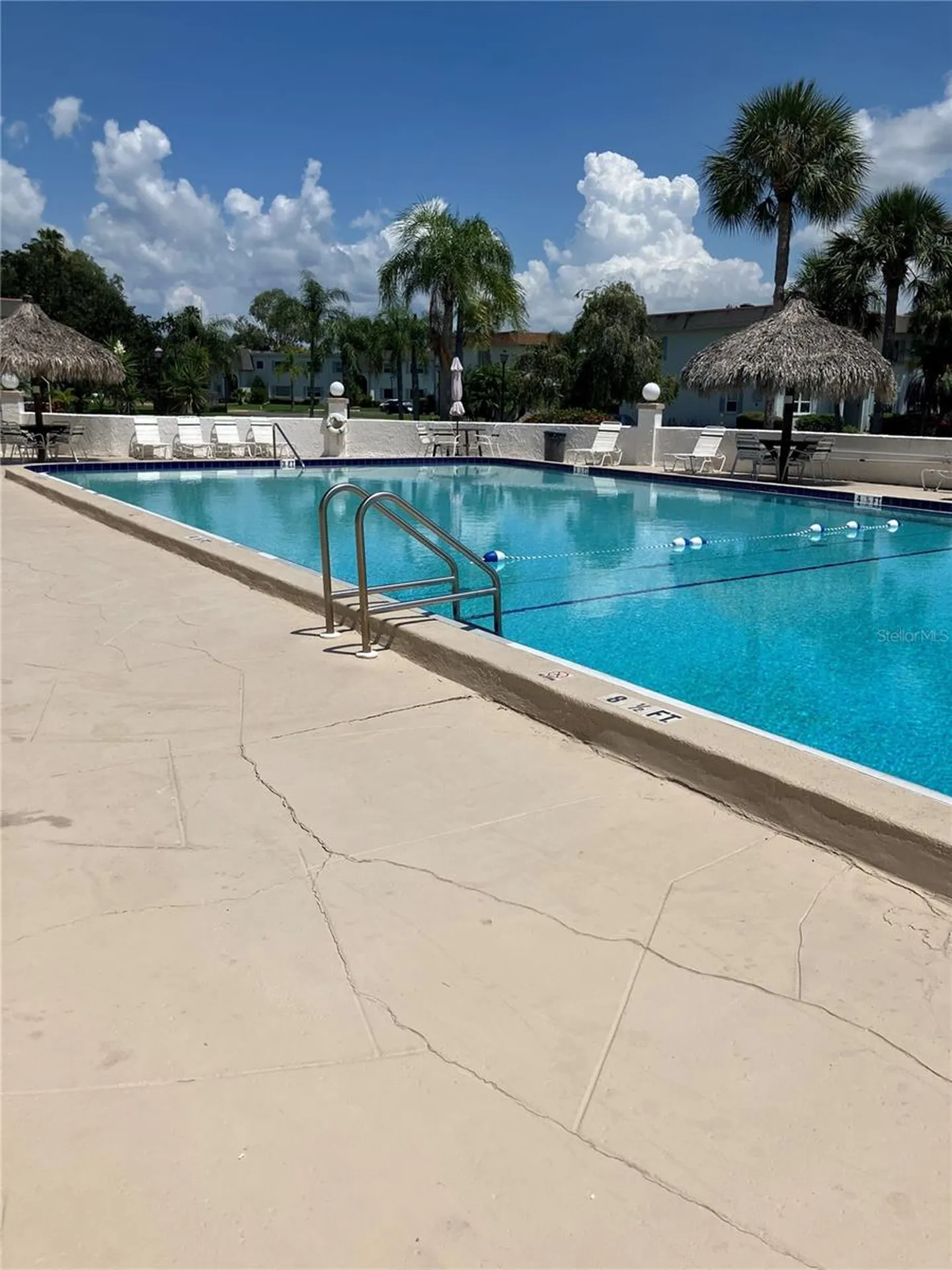 337 S Mcmullen Booth Road Clearwater FL 33759