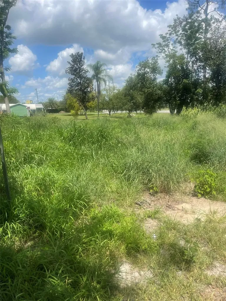 14435 Oak Street Groveland FL 34736