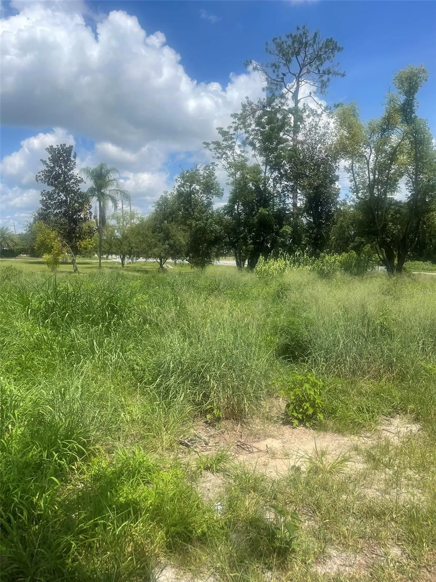 14435 Oak Street Groveland FL 34736