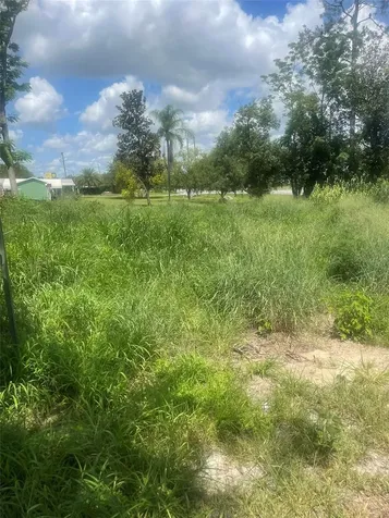 14435 Oak Street Groveland FL 34736