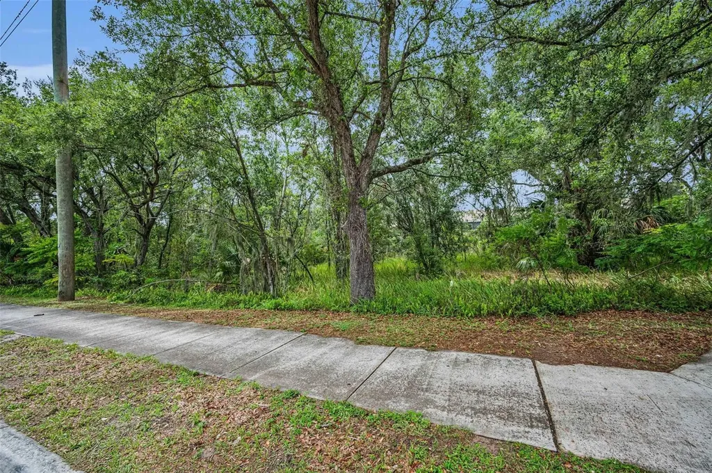 1240 & 1244 Bloomingdale Avenue Valrico FL 33596