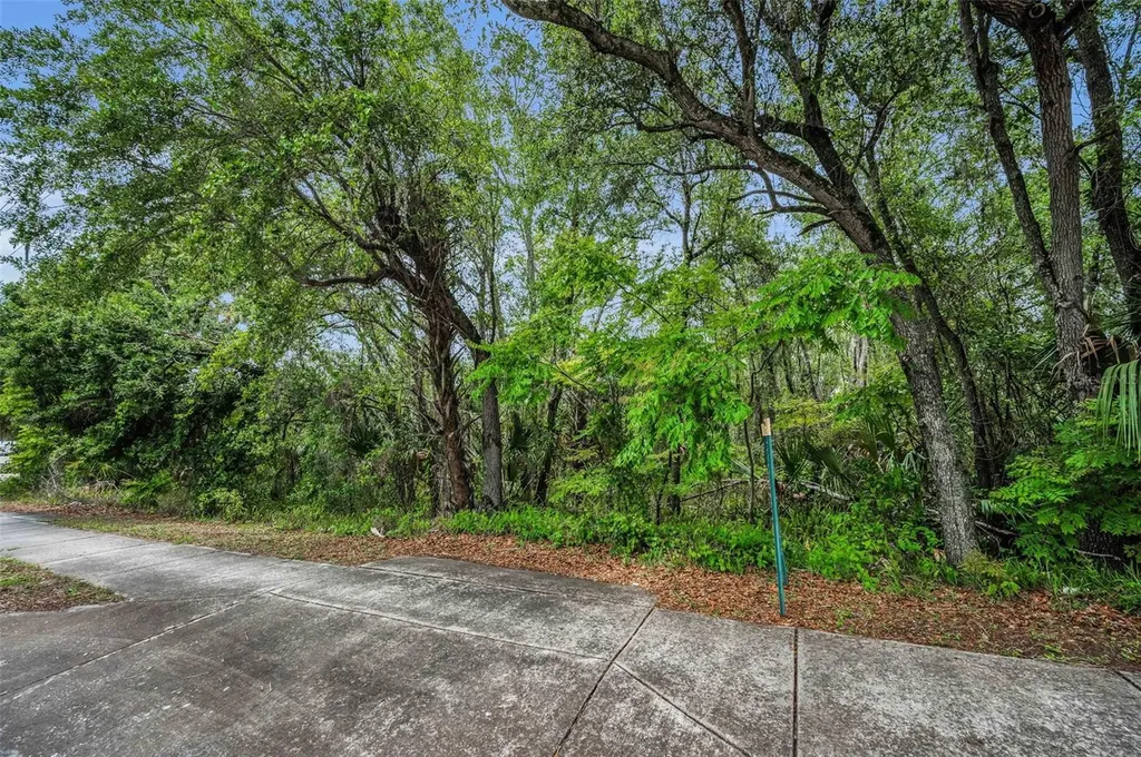 1240 & 1244 Bloomingdale Avenue Valrico FL 33596