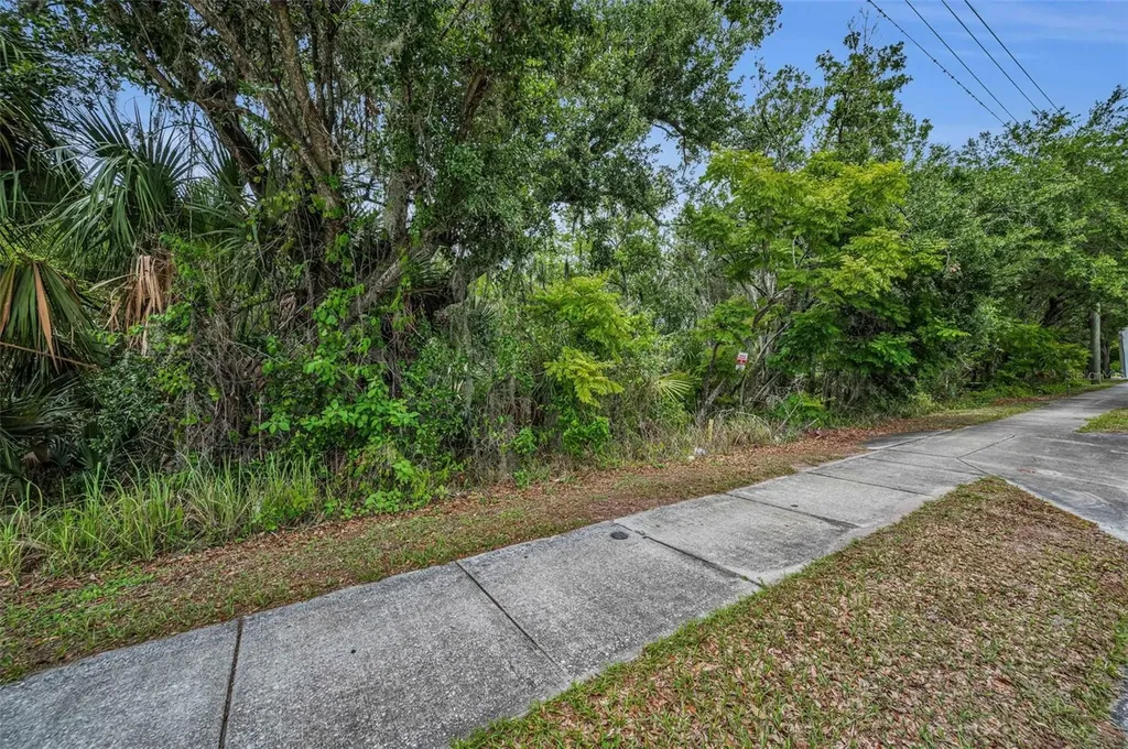 1240 & 1244 Bloomingdale Avenue Valrico FL 33596