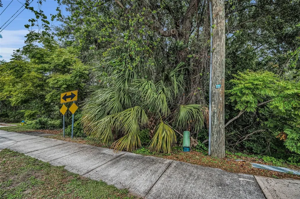 1240 & 1244 Bloomingdale Avenue Valrico FL 33596