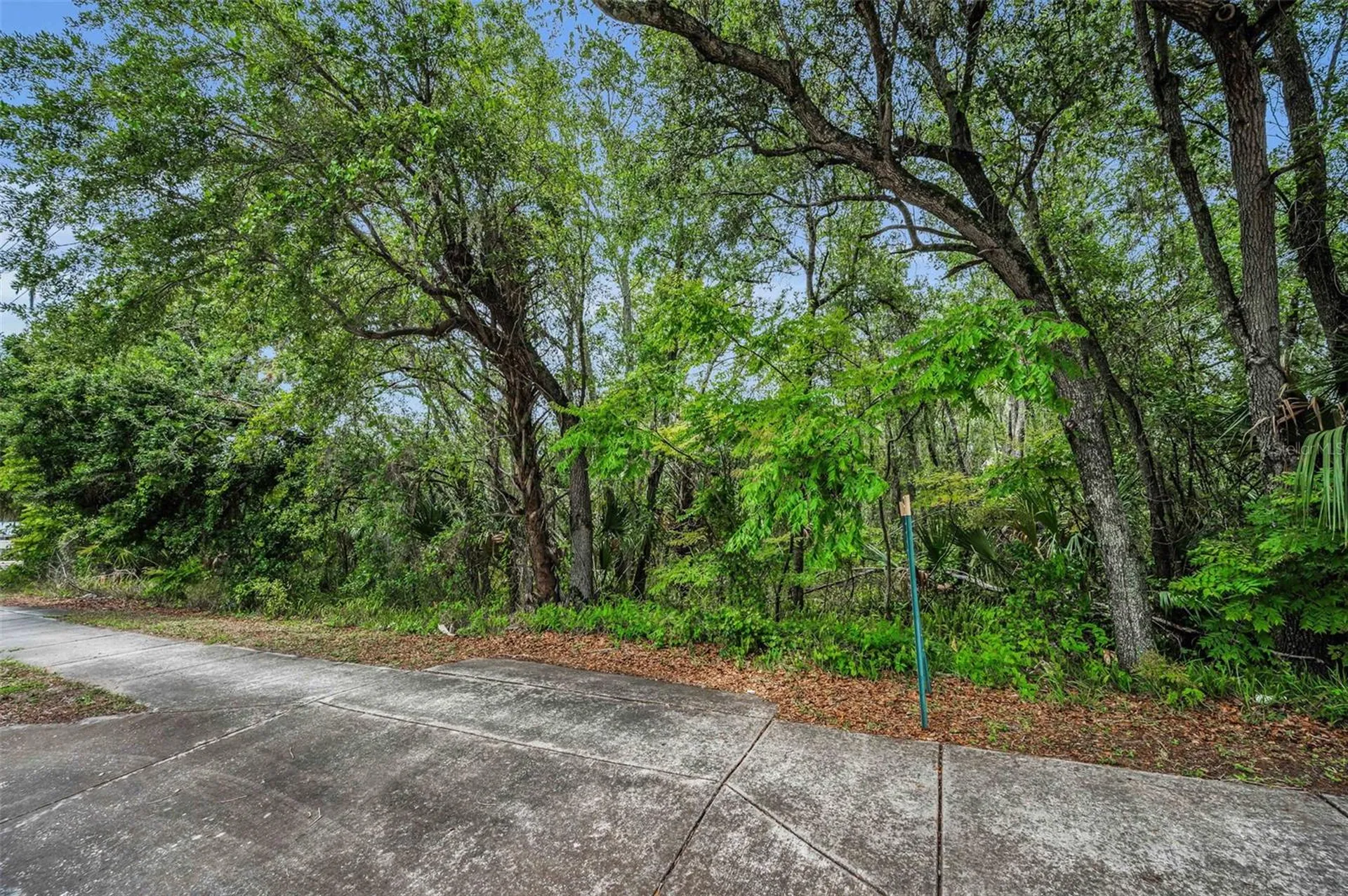 1240 & 1244 Bloomingdale Avenue Valrico FL 33596
