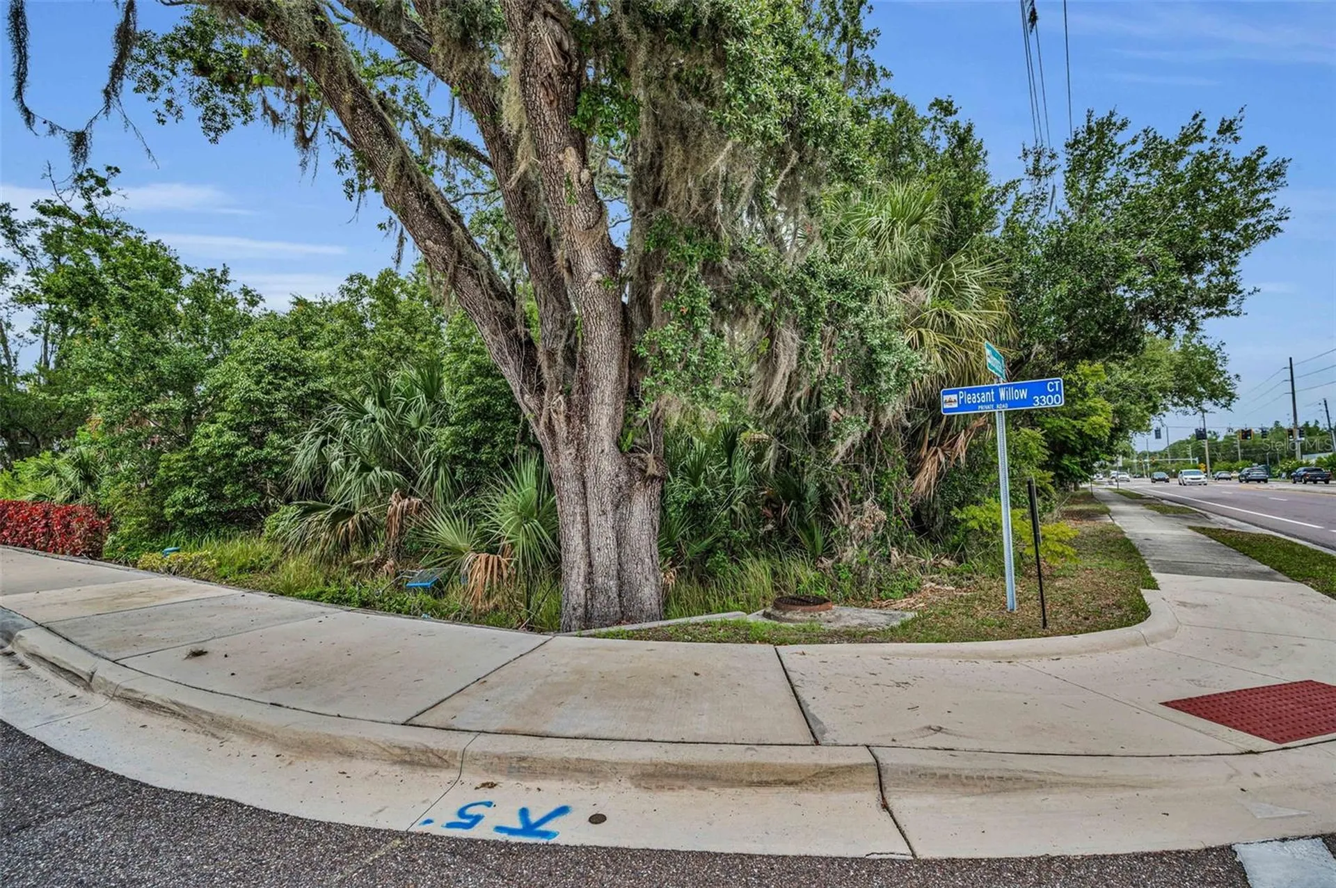 1240 & 1244 Bloomingdale Avenue Valrico FL 33596