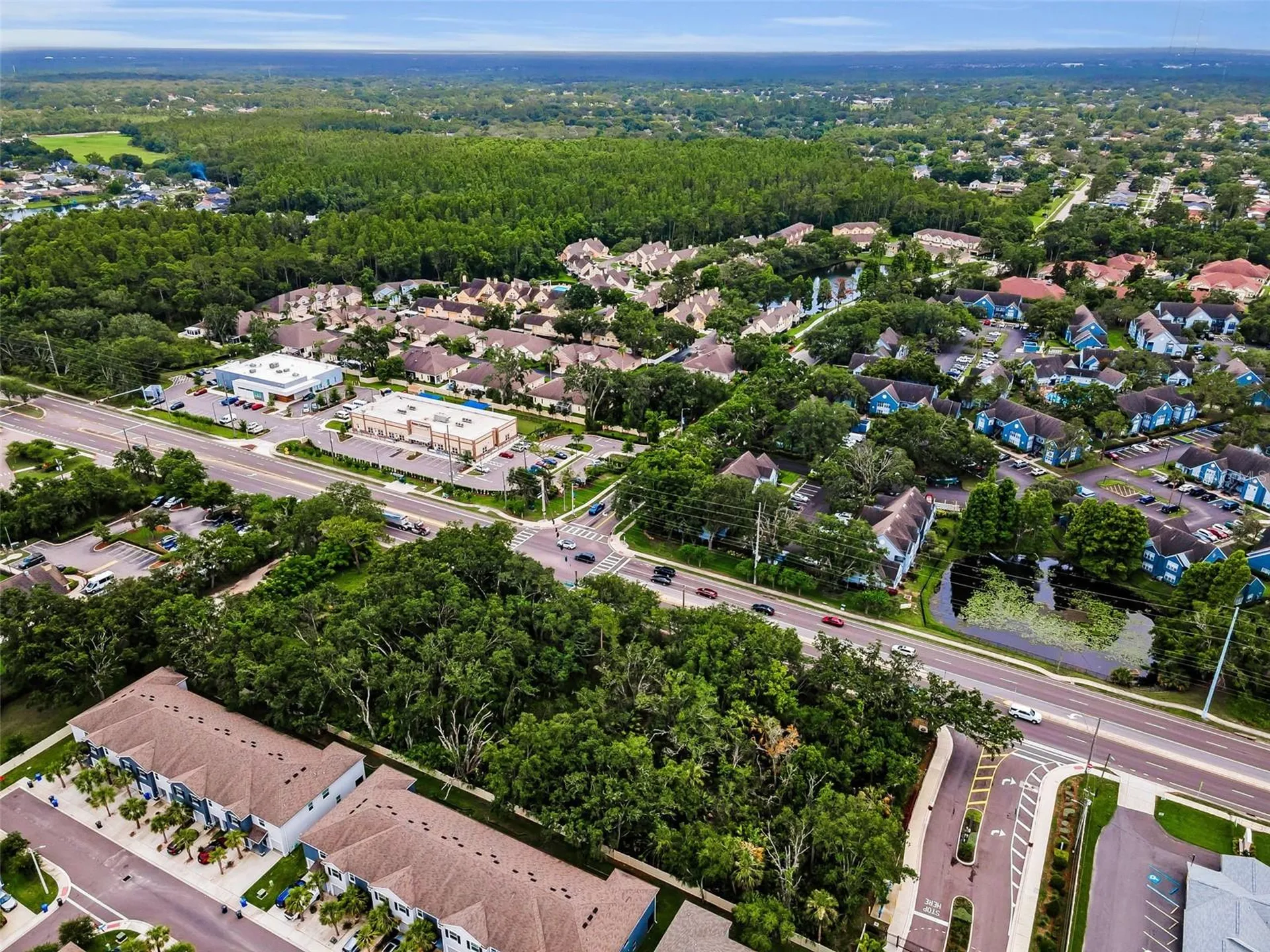 1240 & 1244 Bloomingdale Avenue Valrico FL 33596