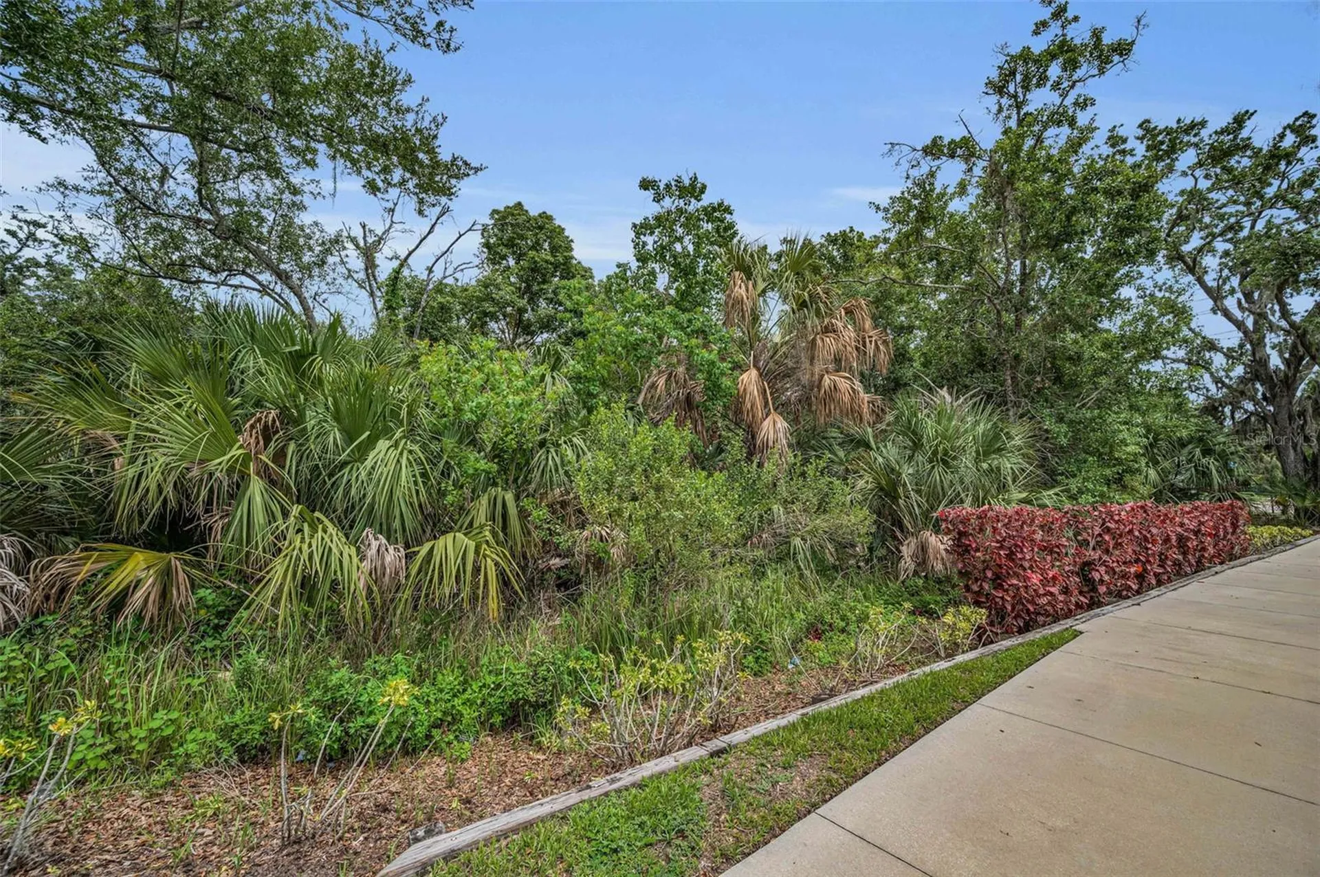 1240 & 1244 Bloomingdale Avenue Valrico FL 33596