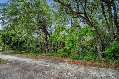 1240 & 1244 Bloomingdale Avenue Valrico FL 33596