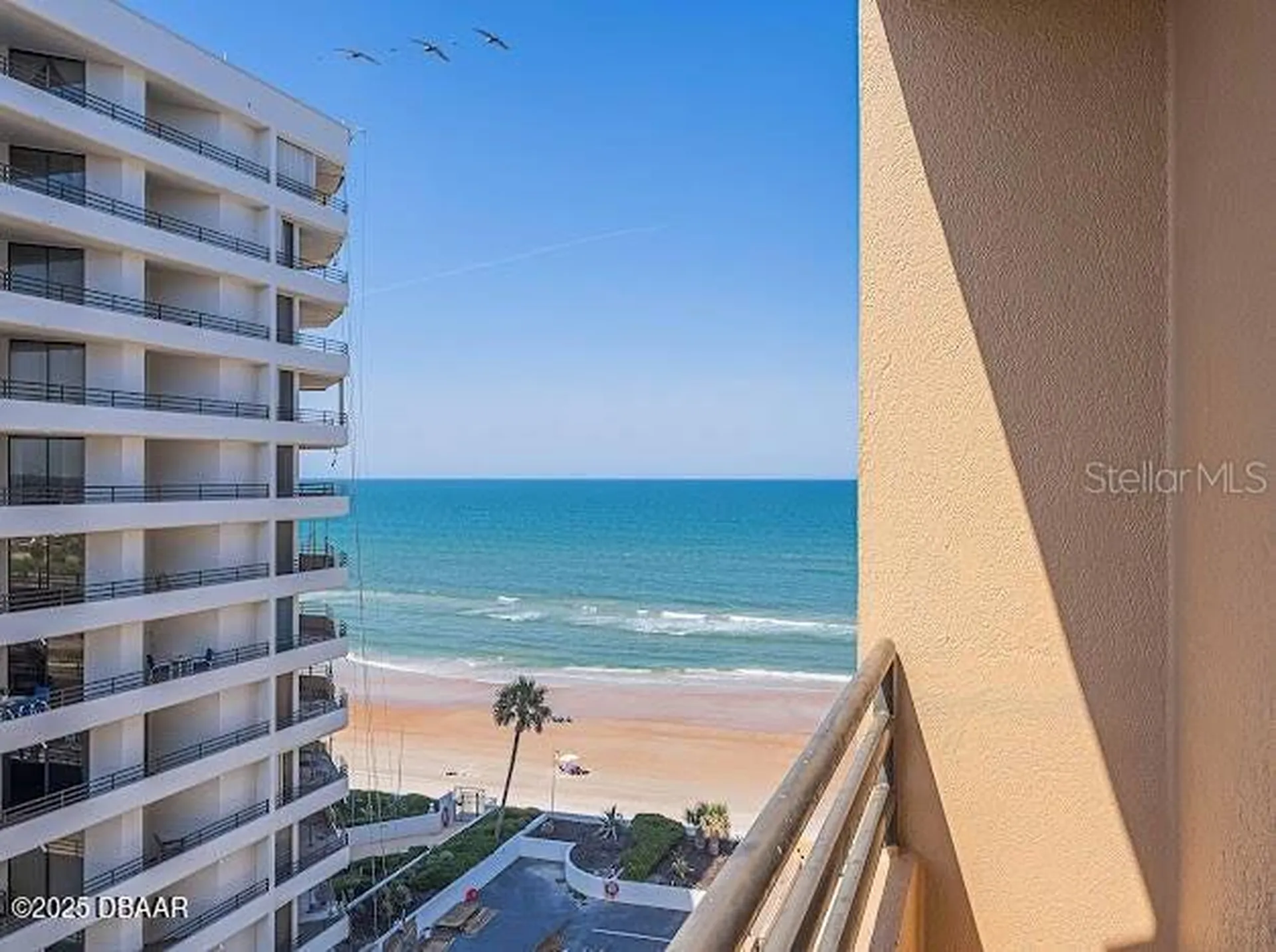 3023 S Atlantic Avenue Daytona Beach FL 32118