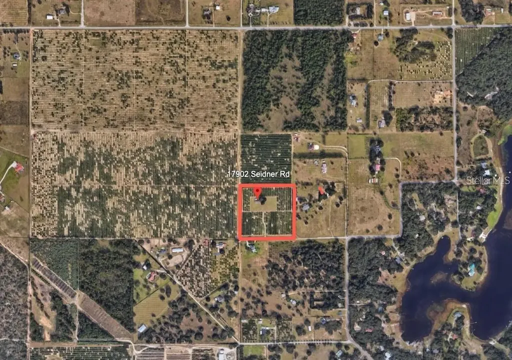 17902 Seidner Road Winter Garden FL 34787