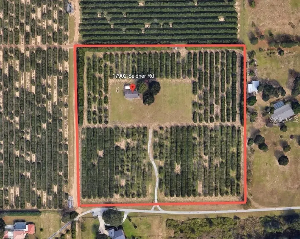 17902 Seidner Road Winter Garden FL 34787