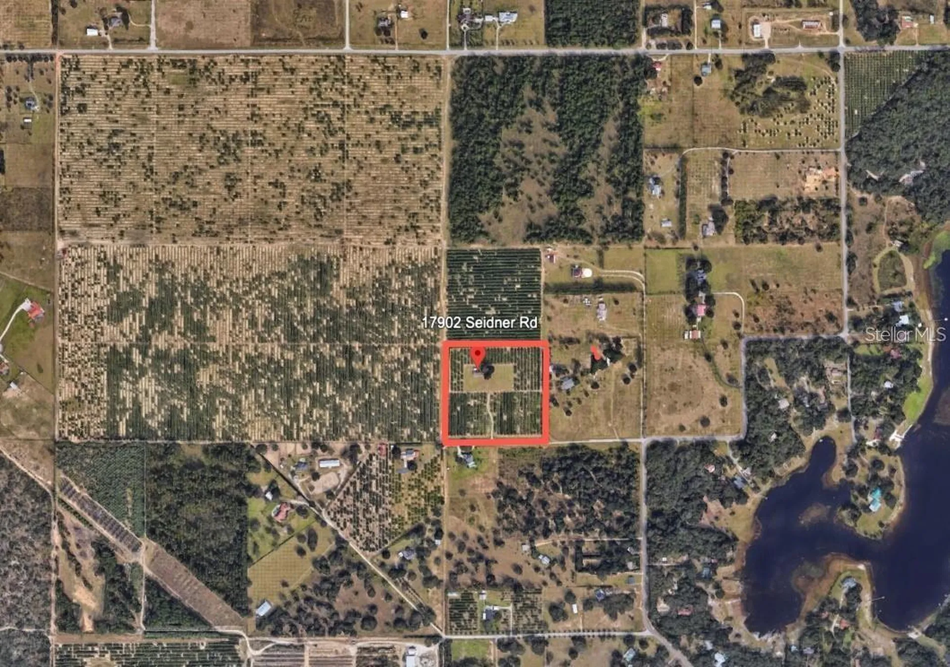 17902 Seidner Road Winter Garden FL 34787