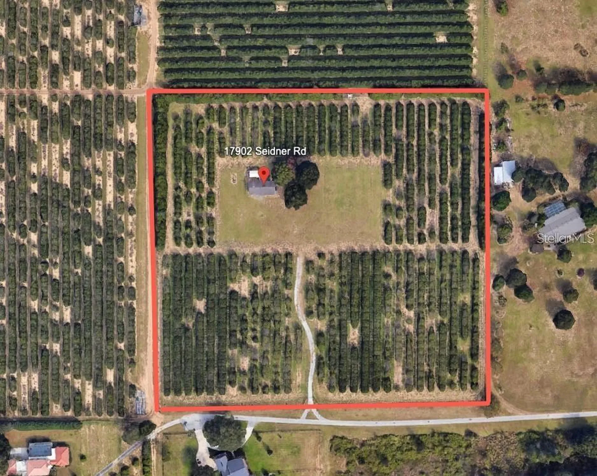 17902 Seidner Road Winter Garden FL 34787