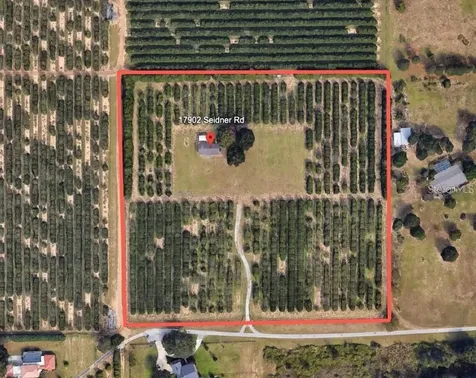 17902 Seidner Road Winter Garden FL 34787