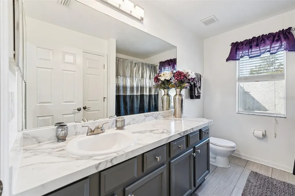 6932 Gray Catbird Loop Wesley Chapel FL 33545