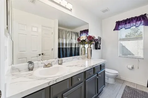 6932 Gray Catbird Loop Wesley Chapel FL 33545