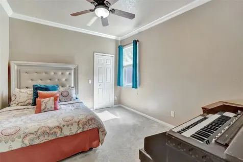 6932 Gray Catbird Loop Wesley Chapel FL 33545