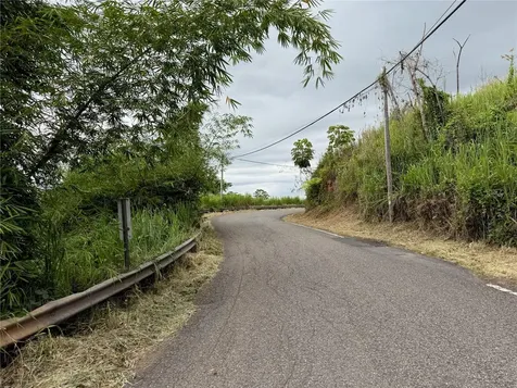 SR-108 Km 11.3 Camino Aldebol Sector Pablo Diaz Barrio Leguizamo Mayaguez PR 00680