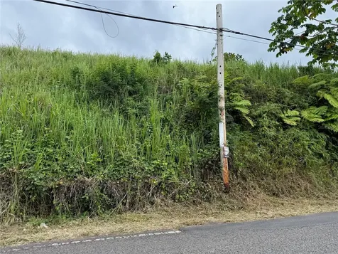 SR-108 Km 11.3 Camino Aldebol Sector Pablo Diaz Barrio Leguizamo Mayaguez PR 00680