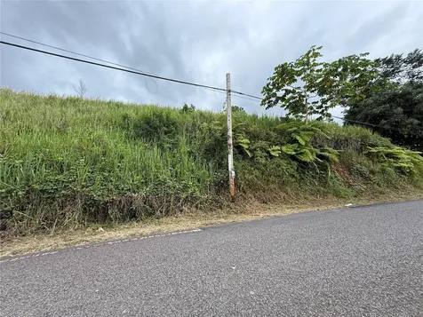 SR-108 Km 11.3 Camino Aldebol Sector Pablo Diaz Barrio Leguizamo Mayaguez PR 00680